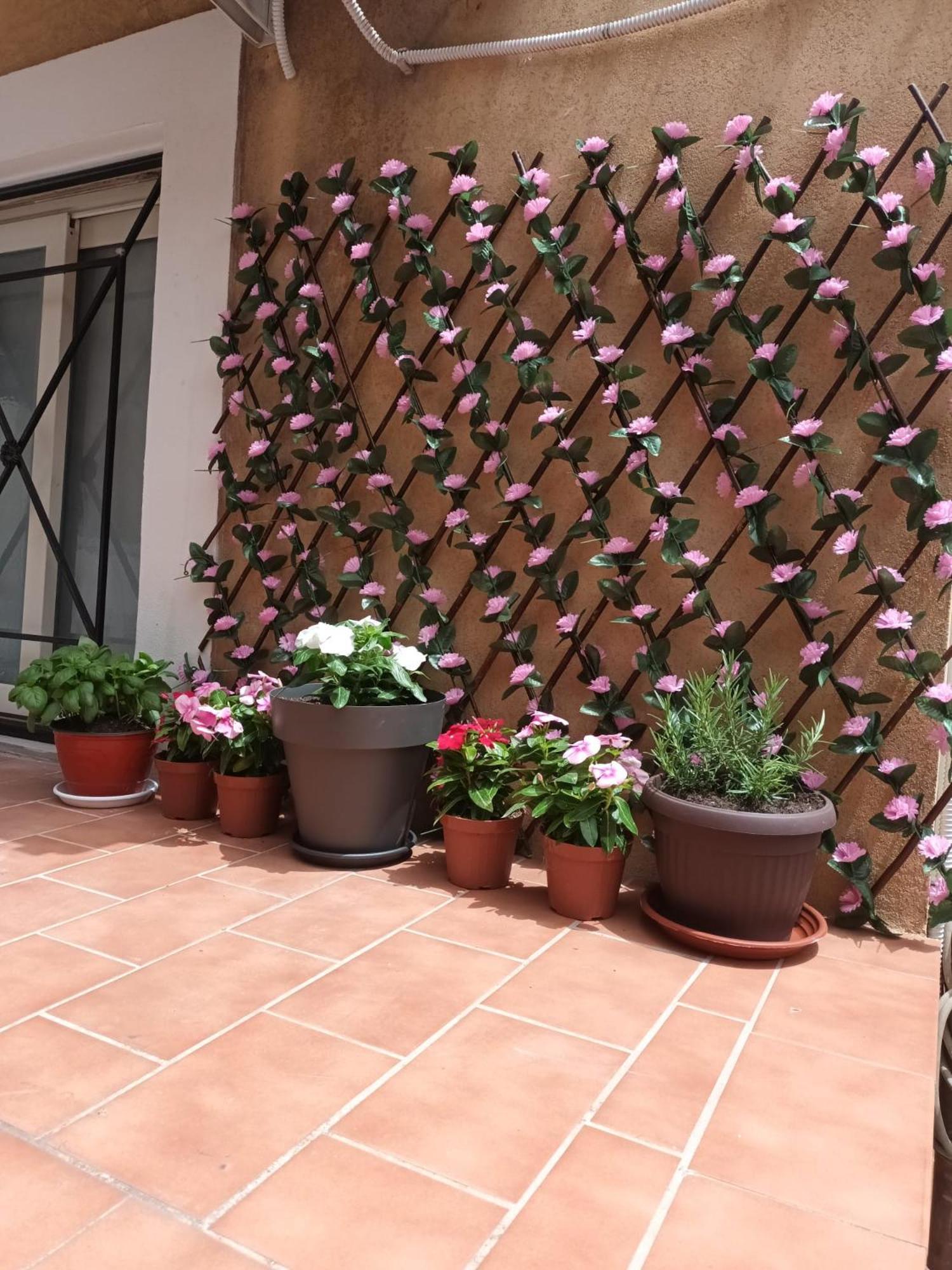 Le Case Del Cortile Catania Ngoại thất bức ảnh